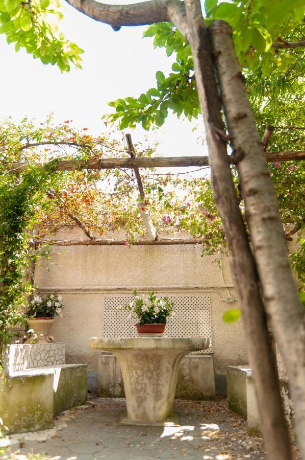 Ferienwohnung Casa Teresinella Garden Torre Annunziata Exterior foto